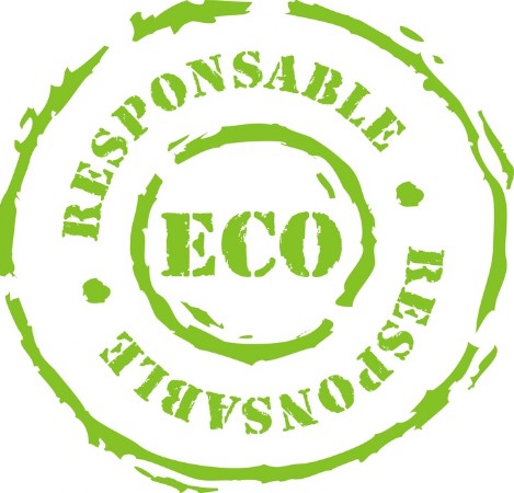 Eco Responsable icone Eco Responsable